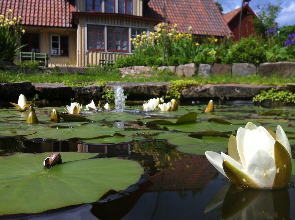 Vildrosor & Hoens Hagstad Kültér fotó