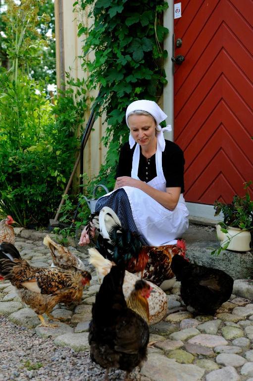 Vildrosor & Hoens Hagstad Kültér fotó